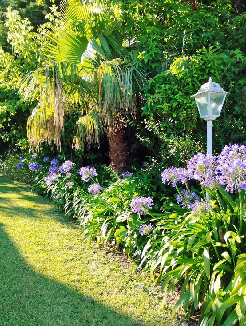 Contactar con AD Xardinería e Desbroces, jardineros en Sanxenxo