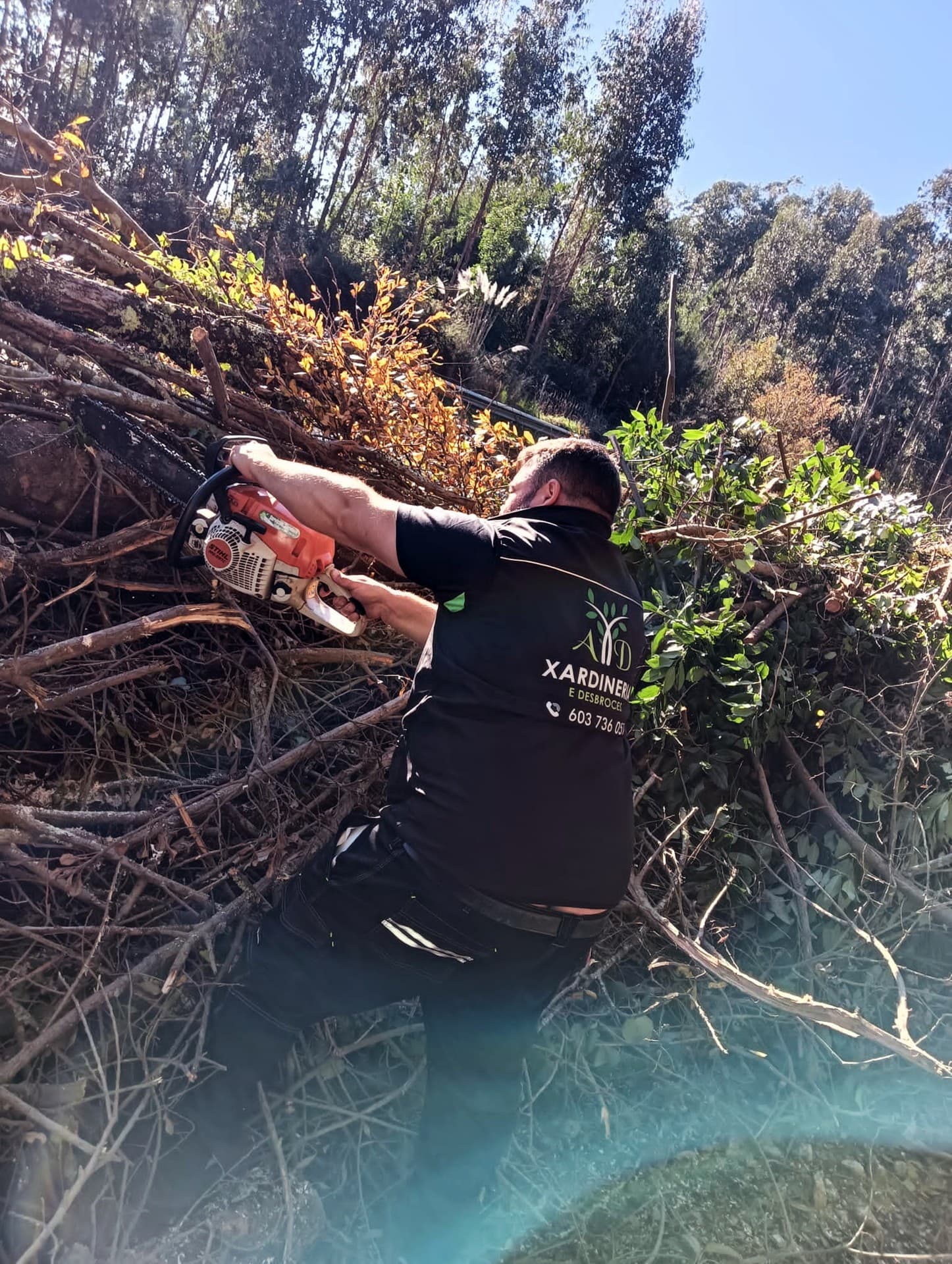AD Xardinería e Desbroces