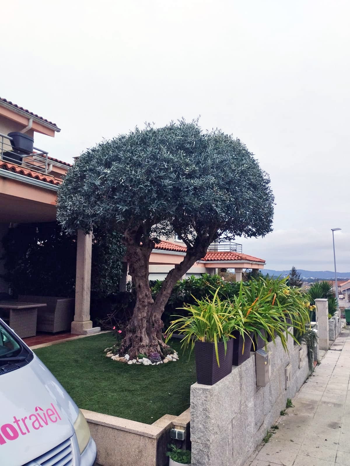 AD Xardinería e Desbroces