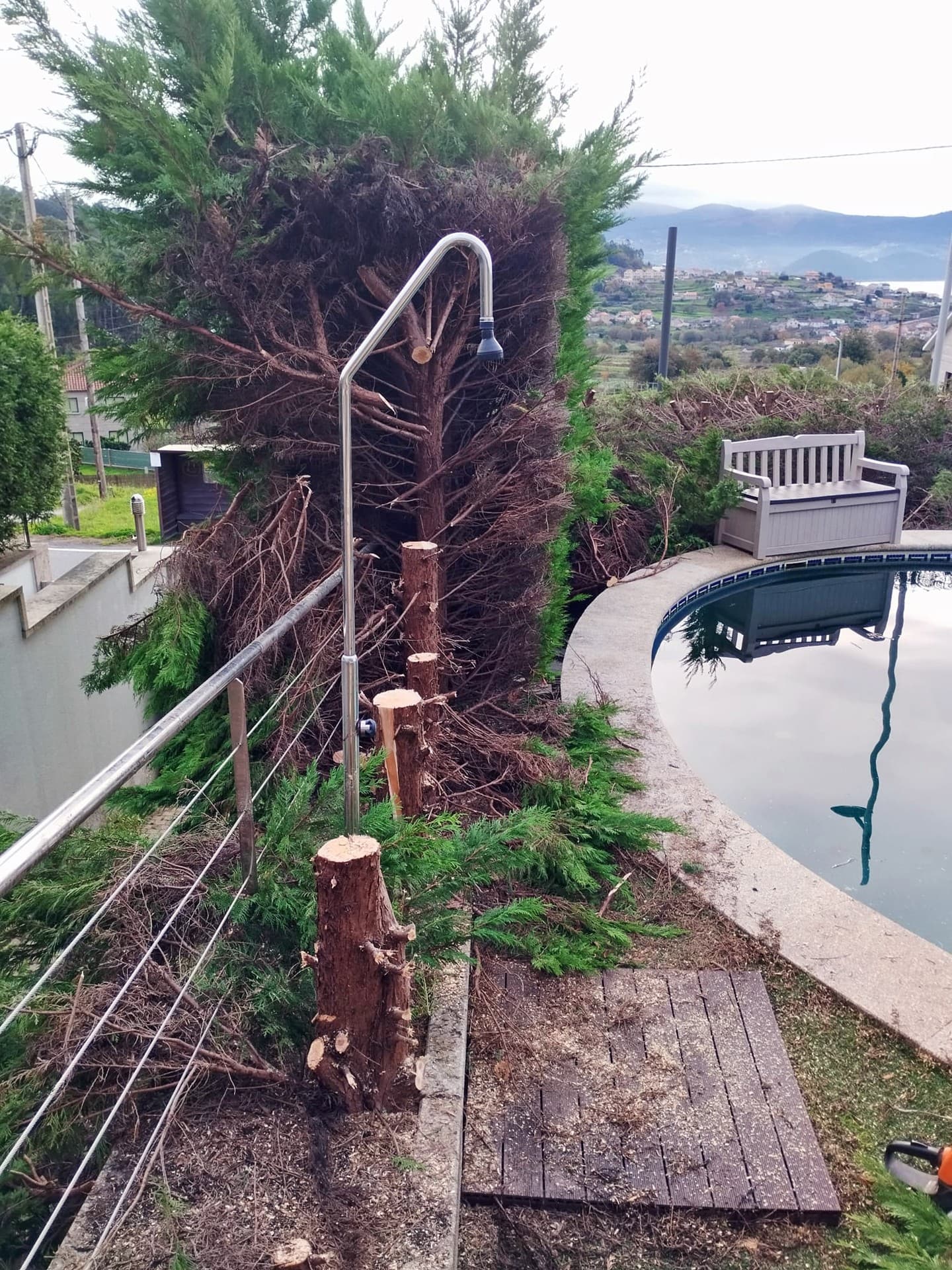 AD Xardinería e Desbroces