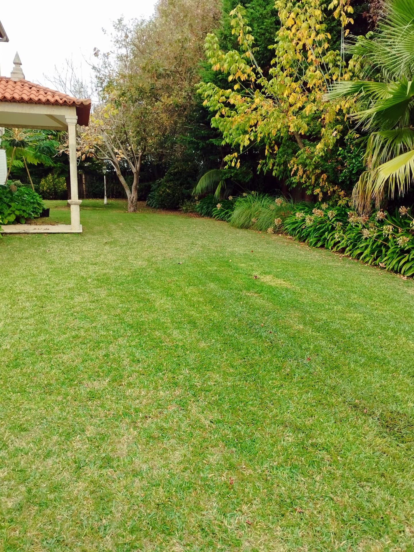 AD Xardinería e Desbroces