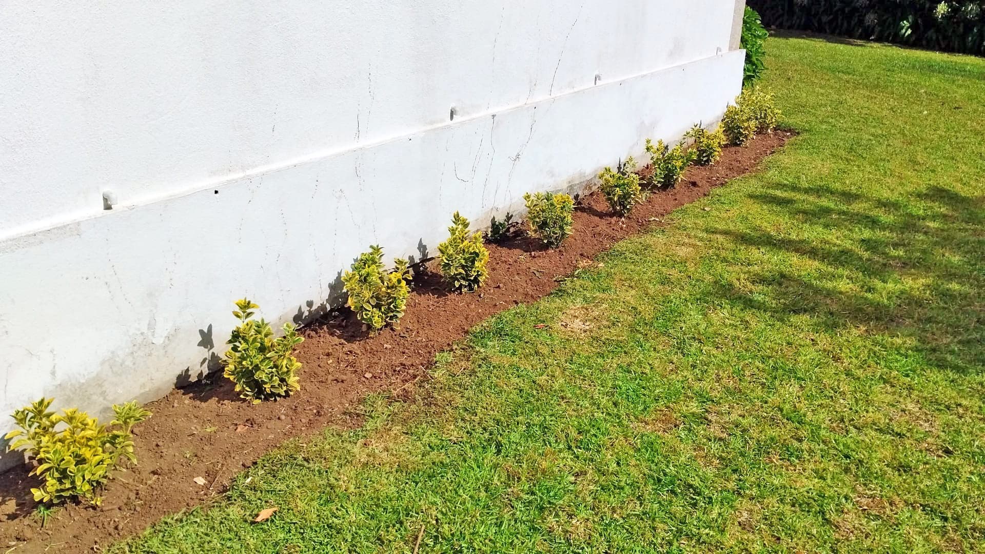 AD Xardinería e Desbroces