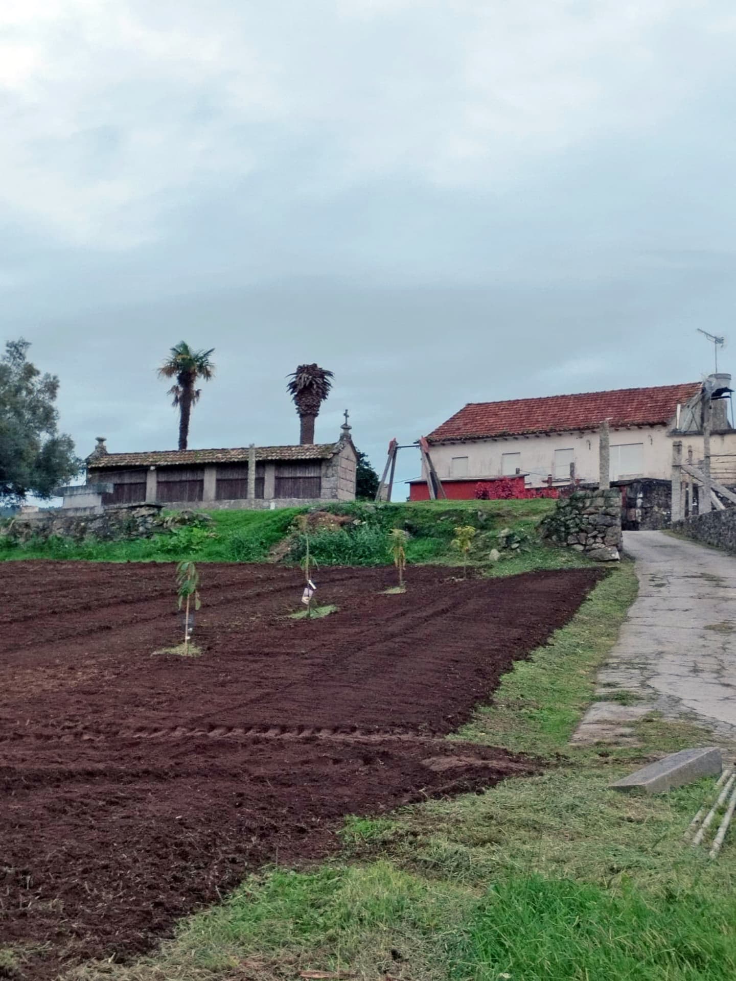 AD Xardinería e Desbroces