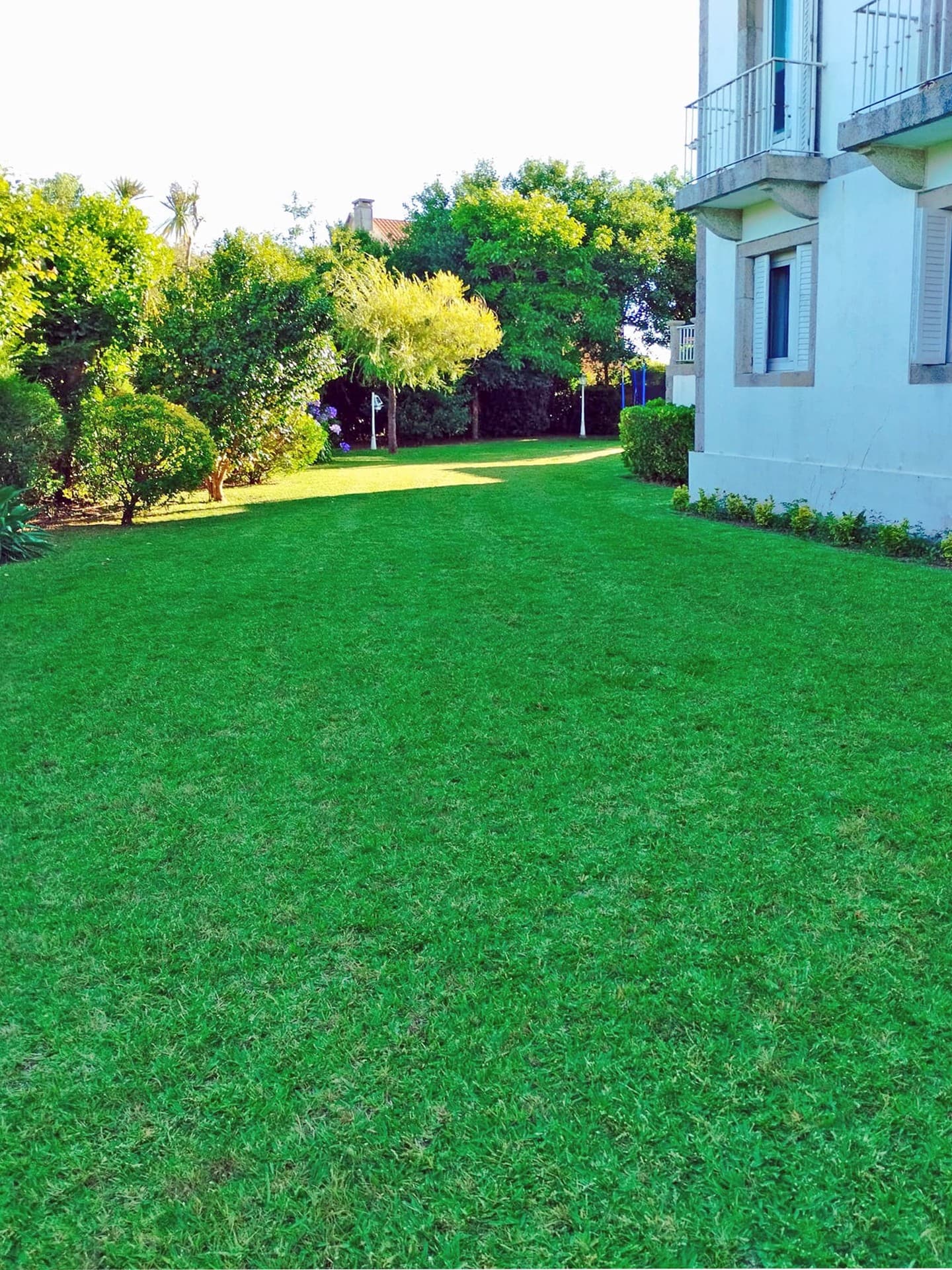 AD Xardinería e Desbroces