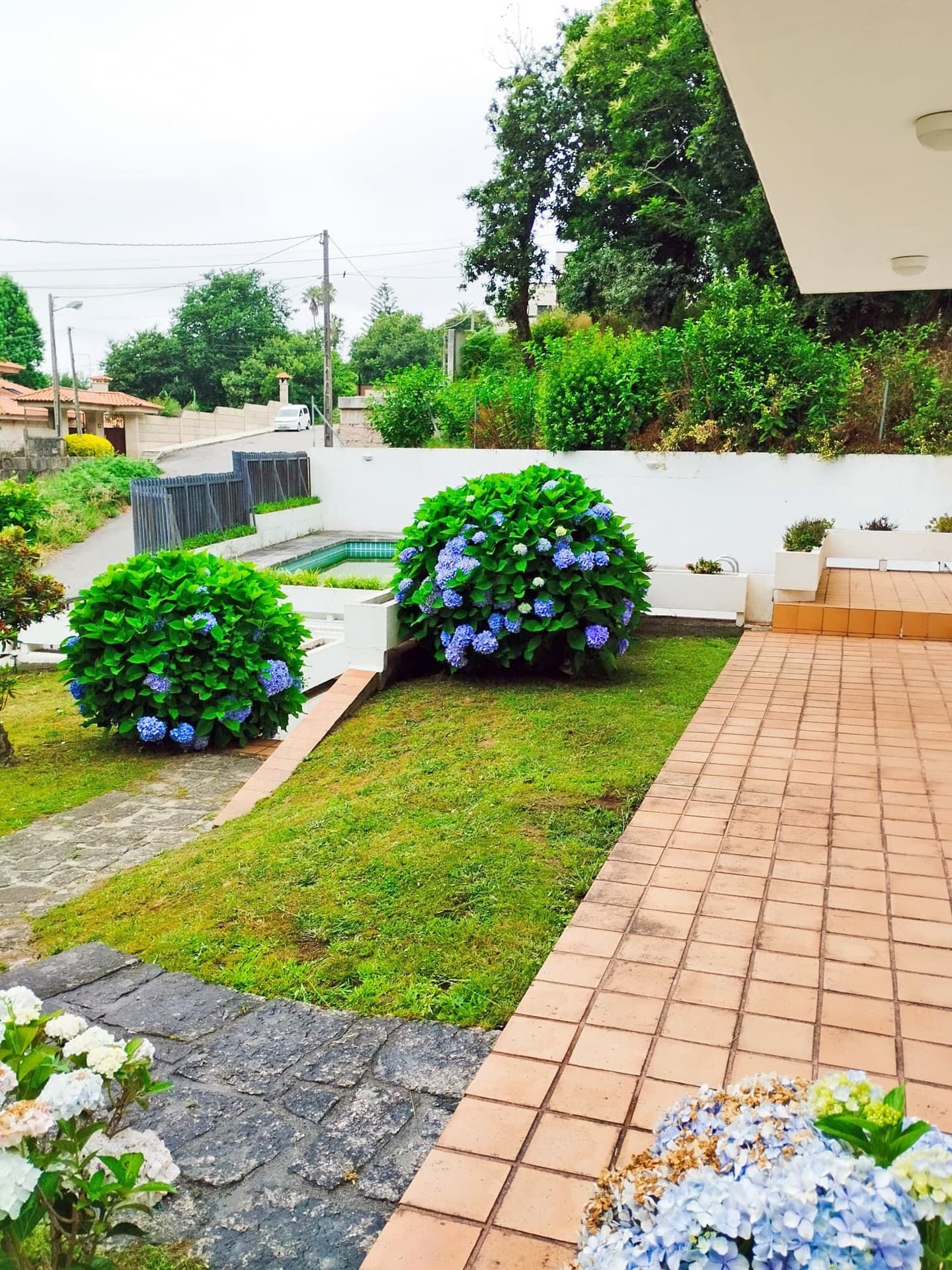 AD Xardinería e Desbroces