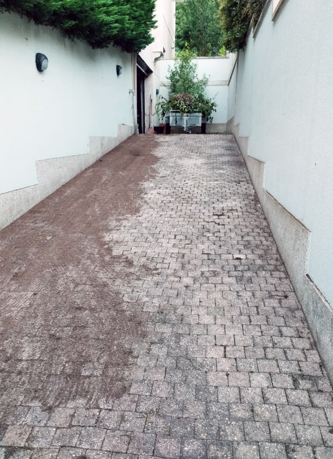 AD Xardinería e Desbroces