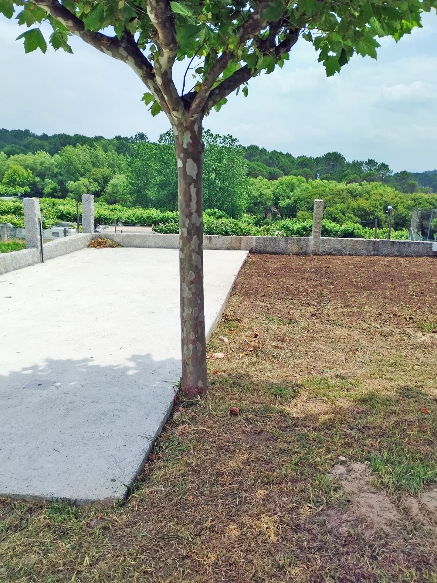 AD Xardinería e Desbroces