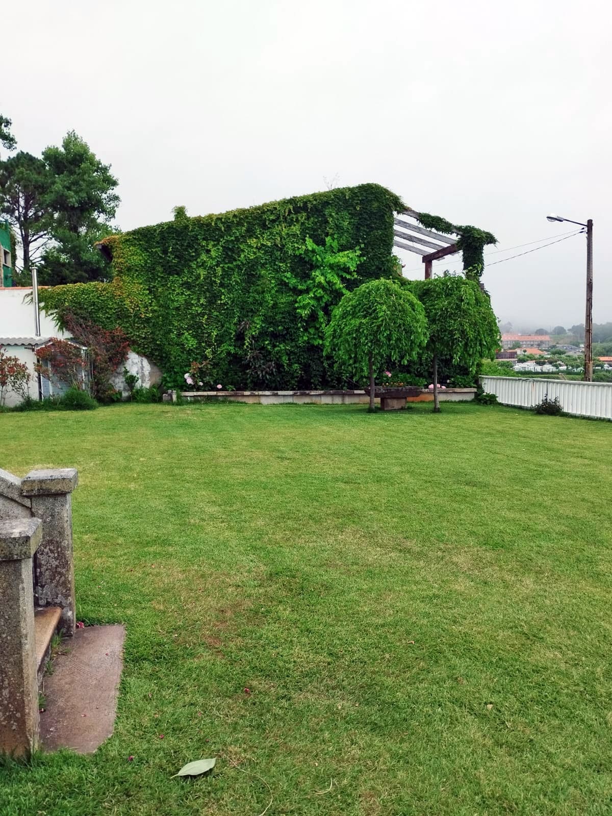 AD Xardinería e Desbroces