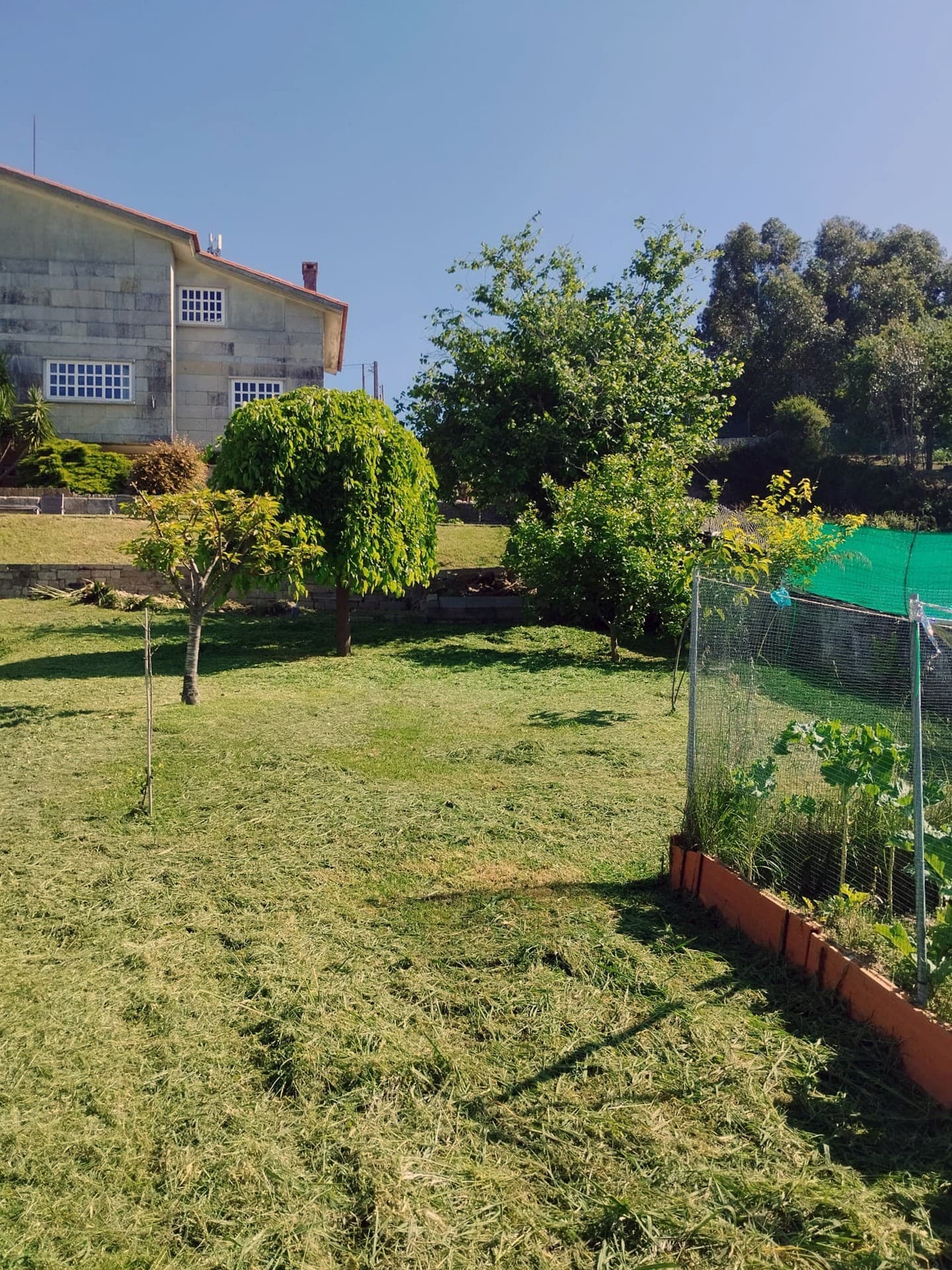 AD Xardinería e Desbroces