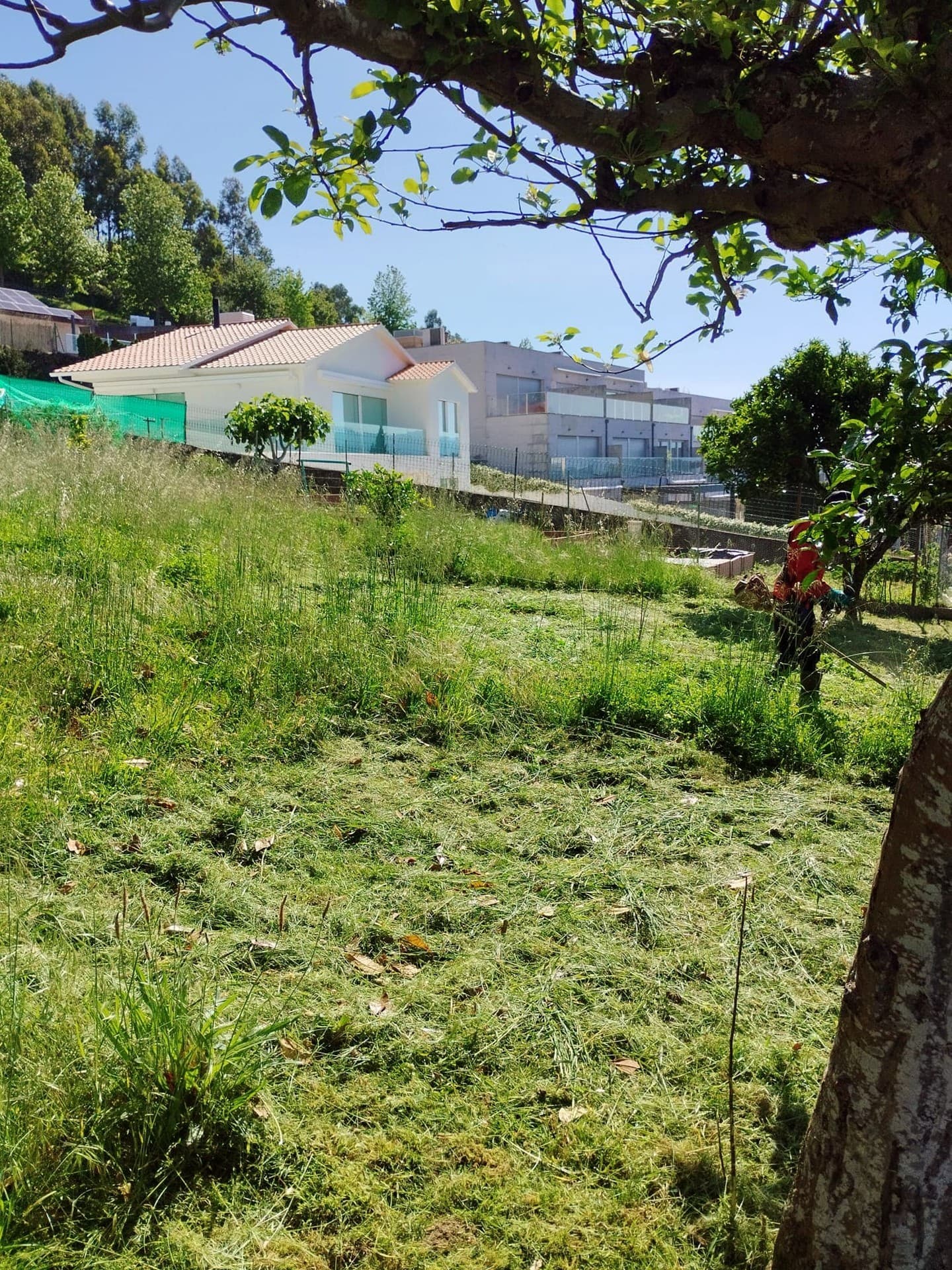 AD Xardinería e Desbroces