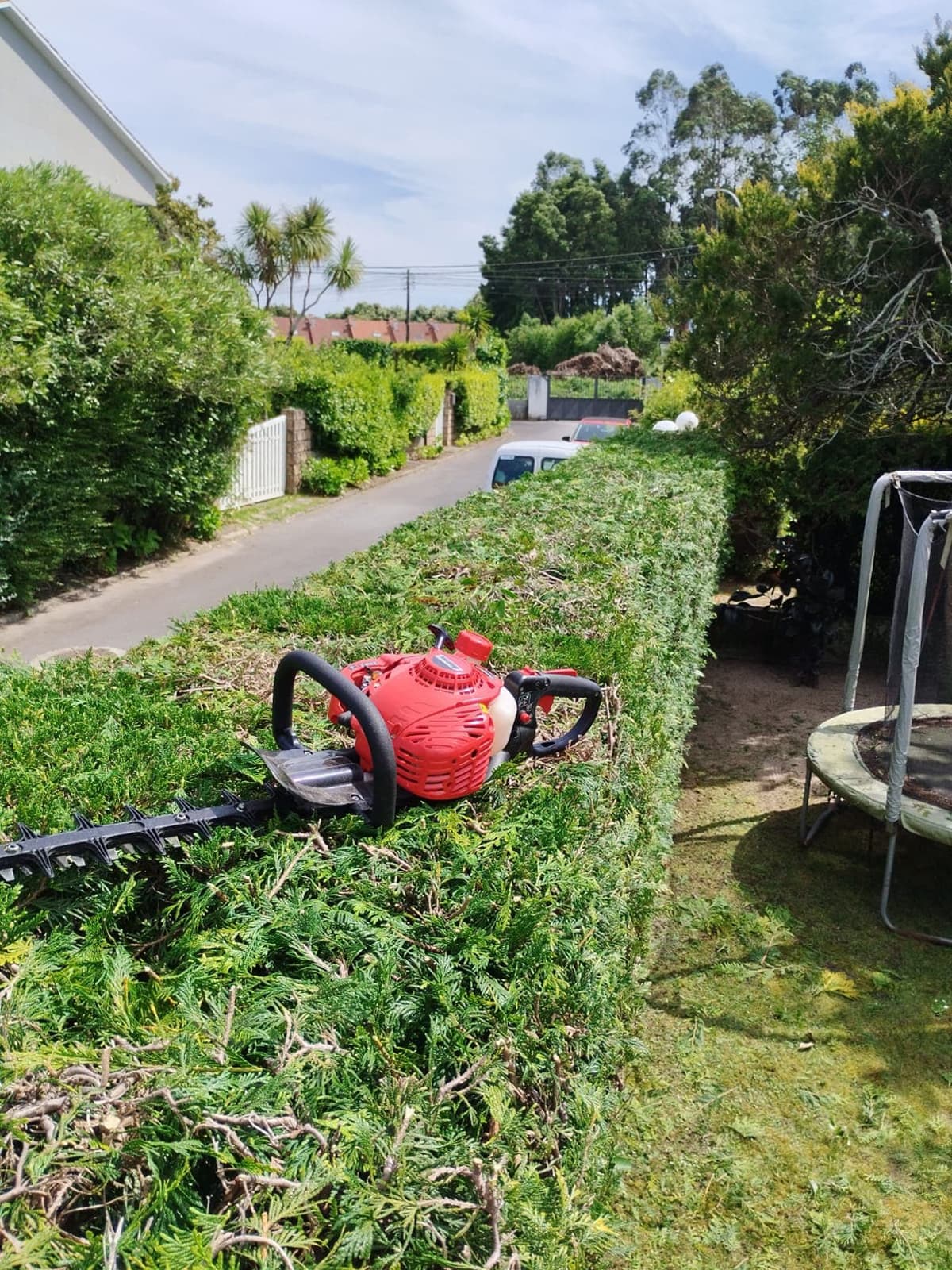 AD Xardinería e Desbroces