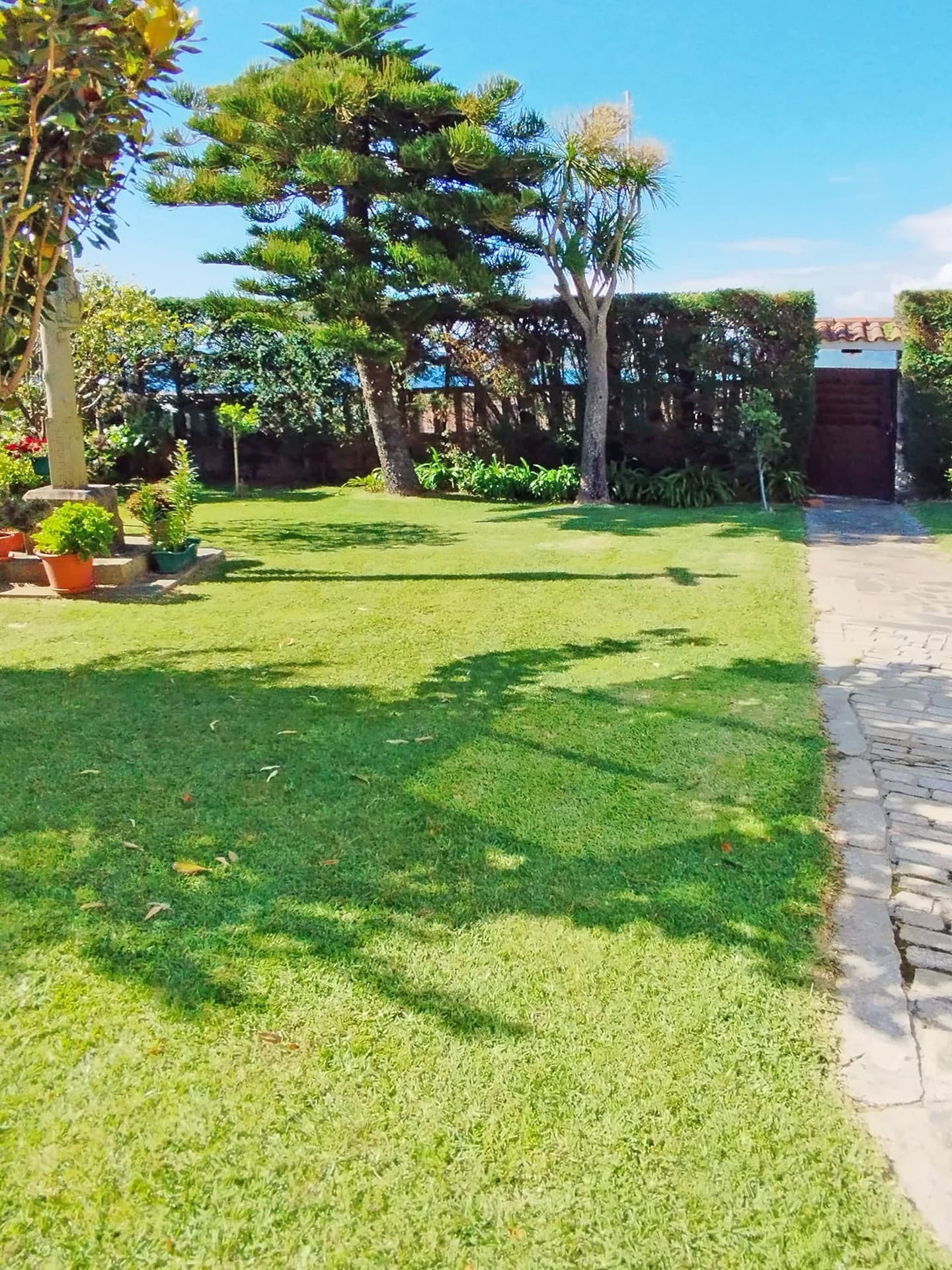 AD Xardinería e Desbroces