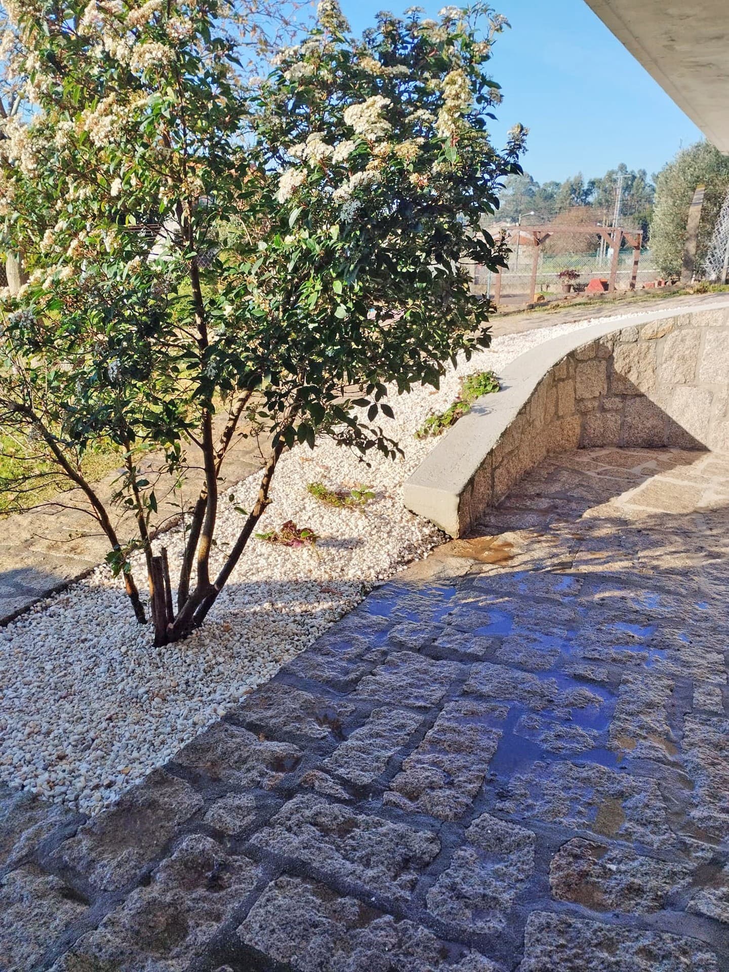 AD Xardinería e Desbroces